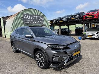 Auto incidentate BYD Seal U 1.5 DM-I 145KW Autom. Pano Clima Navi Boost FWD NAP 2026/1