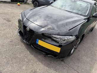 Alfa Romeo Giulia 2.0T 147KW Autom. Super Clima Navi NAP picture 14