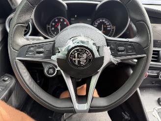 Alfa Romeo Giulia 2.0T 147KW Autom. Super Clima Navi NAP picture 9
