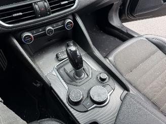 Alfa Romeo Giulia 2.0T 147KW Autom. Super Clima Navi NAP picture 8