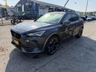 Cupra Formentor 1.4 e-Hybrid 150KW Autom Clima Navi Led Camera Performance picture 2