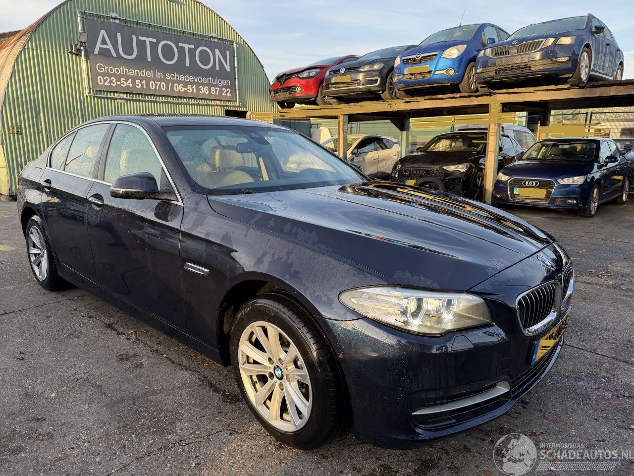 BMW 5-serie 520i 135KW Clima Navi Hud Led Xenon High Executive NAP