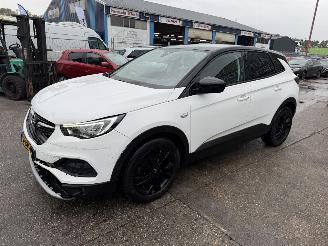 škoda osobní automobily Opel Grandland X 1.2 Turbo 96KW Autom. Clima Navi Camera 2021/3