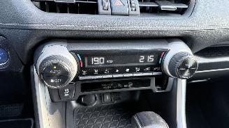 Toyota Rav-4  picture 13