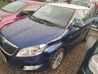 disassembly passenger cars Skoda Fabia Fabia II (5J), Hatchback 5-drs, 2006 / 2014 1.2 TSI 2010/5