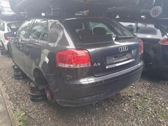 Audi A3 A3 (8P1), Hatchback 3-drs, 2003 / 2012 1.6 picture 6