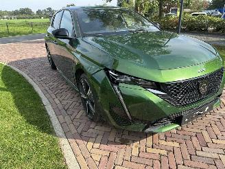 Peugeot 308 GT picture 17