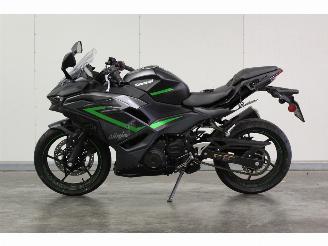  Kawasaki  Ninja 500 ABS 2024