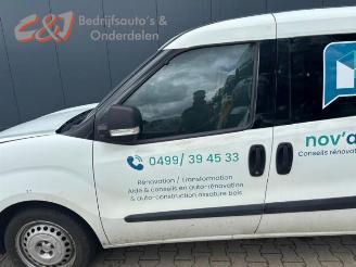 Fiat Doblo Doblo Cargo (263), Van, 2010 1.3 D Multijet picture 3