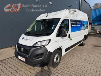 disassembly passenger cars Fiat Ducato Ducato (250), Van, 2006 2.2 D 140 Multijet 3 2022/1