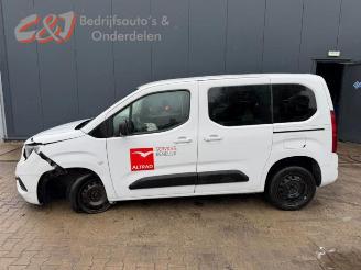 Opel Combo Combo Cargo, Van, 2018 1.5 CDTI 100 picture 2