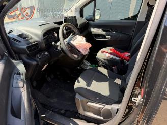 Opel Combo Combo Cargo, Van, 2018 1.6 CDTI 100 picture 14