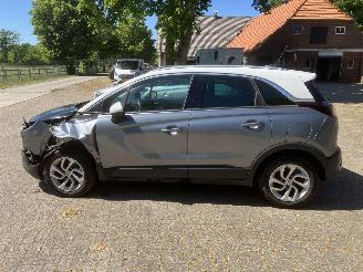 Opel Crossland PANODAK picture 10