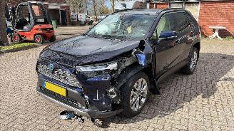 Toyota Rav-4 2.5 hybrtde picture 9