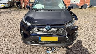 Toyota Rav-4 2.5 hybrtde picture 5