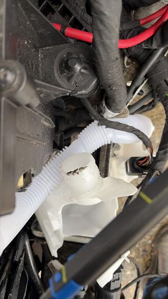 Volkswagen Tiguan 2.0  R LINE 4 motion picture 23