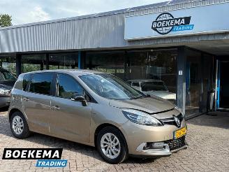 Renault Scenic 1.2 TCe 131PK Limited Navigatie Climate 6-Hand picture 1