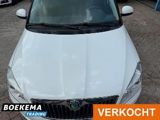 Skoda Fabia Combi 1.2 TDI Greenline Airco Cruise picture 5