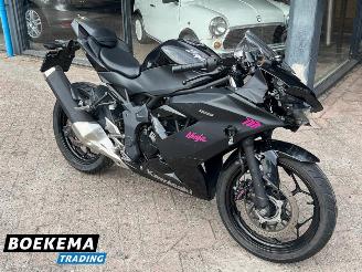 Kawasaki  Ninja 125 picture 2