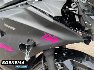 Kawasaki  Ninja 125 picture 11