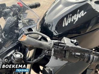 Kawasaki  Ninja 125 picture 9