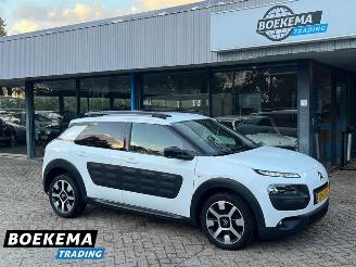 Citroën C4 cactus 1.2 PureTech Shine Virtual Navi Climate Cruise PDC picture 1