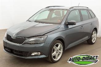 skadebil auto Skoda Fabia 1.0 TSI Clima Navi 120.179 km 2018/4