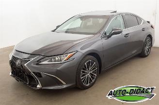 Vaurioauto  passenger cars Lexus ES 300 Hybrid 33.094 km Carpas Clima Navi Leder Camera 2023/5