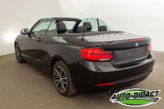 BMW 2-serie 218i Cabrio Clima Navi CARPAS picture 3