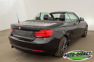 BMW 2-serie 218i Cabrio Clima Navi CARPAS picture 4