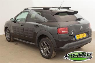 Citroën C4 cactus 1.6 BlueHDi Navi Clima Camera Business Plus picture 3