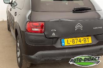 Citroën C4 cactus 1.6 BlueHDi Navi Clima Camera Business Plus picture 29