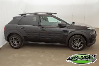 Citroën C4 cactus 1.6 BlueHDi Navi Clima Camera Business Plus picture 38