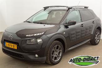 Citroën C4 cactus 1.6 BlueHDi Navi Clima Camera Business Plus picture 1