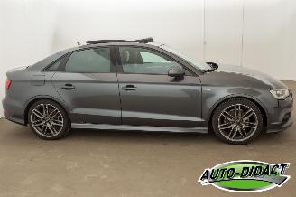 Audi A3 1.4 TFSI Navi Clima Pano CoD Ambition Pro Line S picture 43