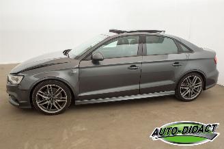Audi A3 1.4 TFSI Navi Clima Pano CoD Ambition Pro Line S picture 42