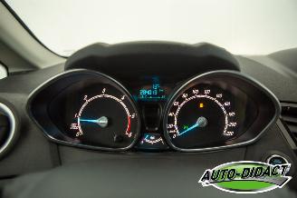 Ford Fiesta 1.6 TDCi Clima Lease Titanium picture 6