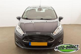 Ford Fiesta 1.6 TDCi Clima Lease Titanium picture 35