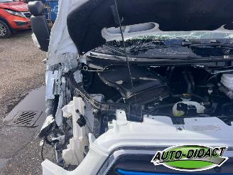 Ford Transit 350 L4H3 Trend 68 kWh Camera Navi picture 38