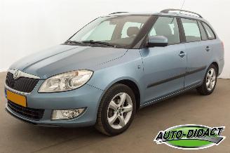 Schadeauto Skoda Fabia 1.2 TDI Airco Greenline 2010/9