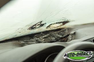 Volkswagen Golf 1.2 TSI Clima BRANDSCHADE Trendline picture 24