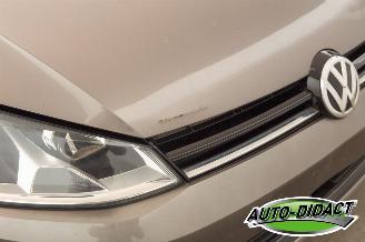 Volkswagen Golf 1.4 TSI Clima Navi Trendline picture 37