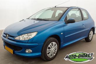 skadebil auto Peugeot 206 1.4 Forever 2007/7