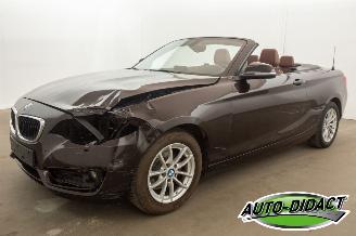 škoda osobní automobily BMW 2-serie Cabrio 218i Navi Leder Airco 2015/7