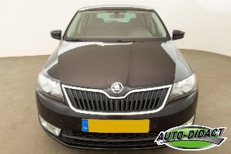 Skoda Rapid 1.2 TSI - DSG - Spaceback picture 31