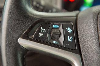 Opel Ampera 1.4 63kW Hybrid Automaat Navi Camera Leder picture 14