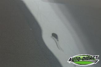 Opel Ampera 1.4 Plug-in Hybrid Leder Navi Camera Clima picture 27