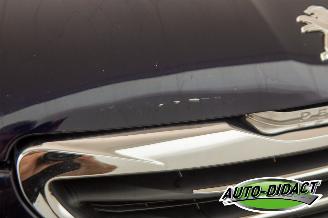 Peugeot 308 1.6 THP Navi Clima Premiere picture 20