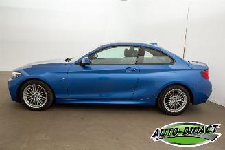 BMW 2-serie 218d Automaat Leder Navi Schuifdak picture 26
