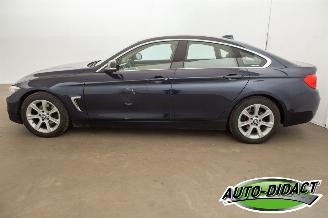BMW 4-serie 420i Automaat Leder Centennial High Executive picture 30